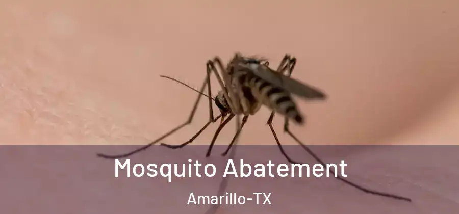  Mosquito Abatement Amarillo-TX