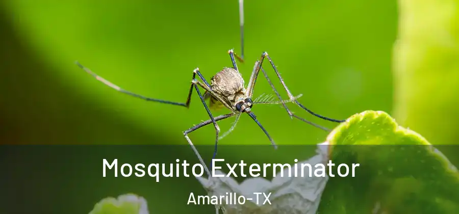 Mosquito Exterminator Amarillo-TX