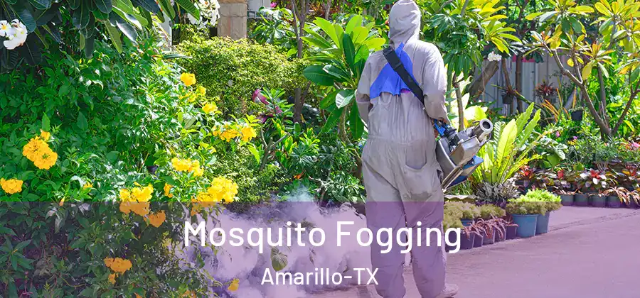  Mosquito Fogging Amarillo-TX