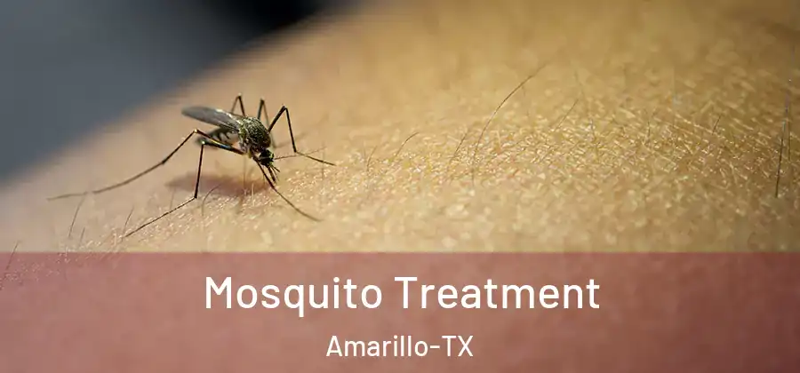  Mosquito Treatment Amarillo-TX