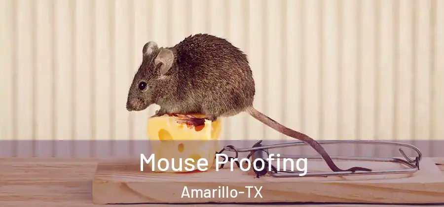  Mouse Proofing Amarillo-TX