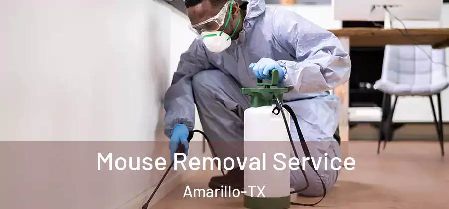  Mouse Removal Service Amarillo-TX
