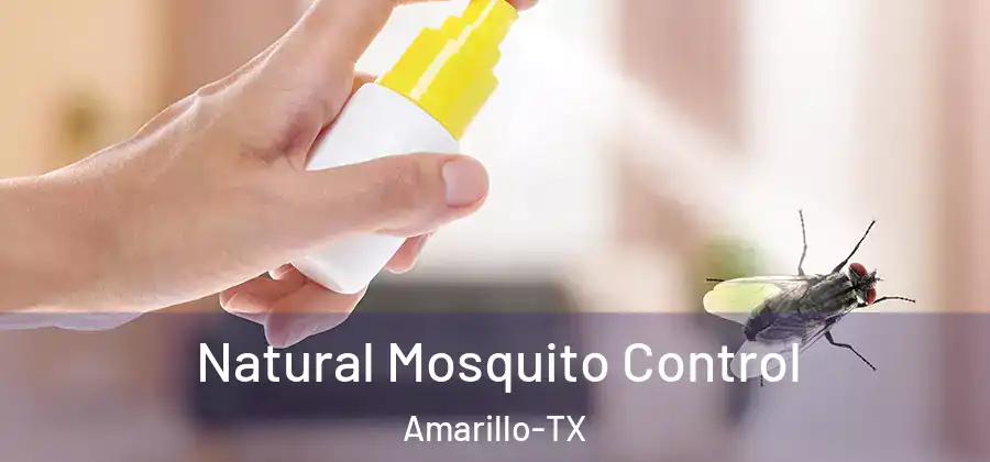  Natural Mosquito Control Amarillo-TX