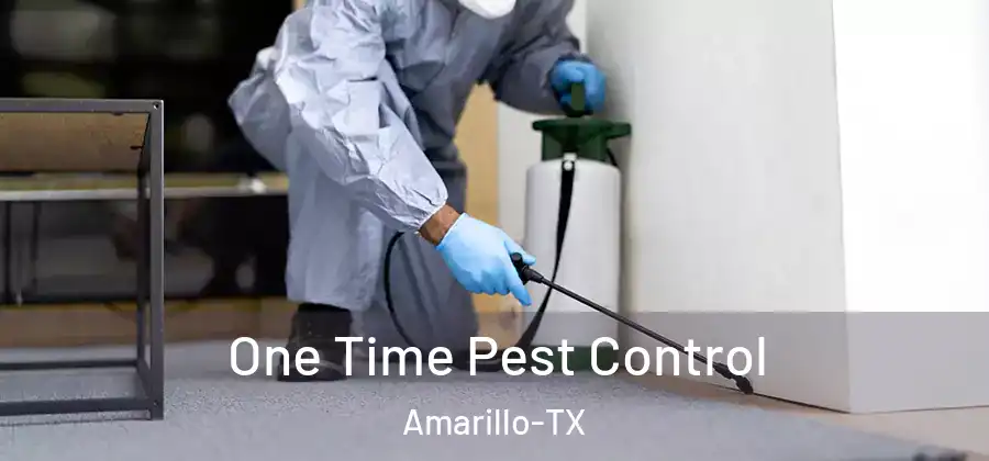  One Time Pest Control Amarillo-TX