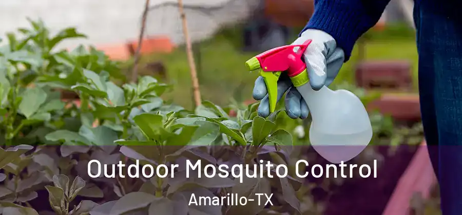  Outdoor Mosquito Control Amarillo-TX