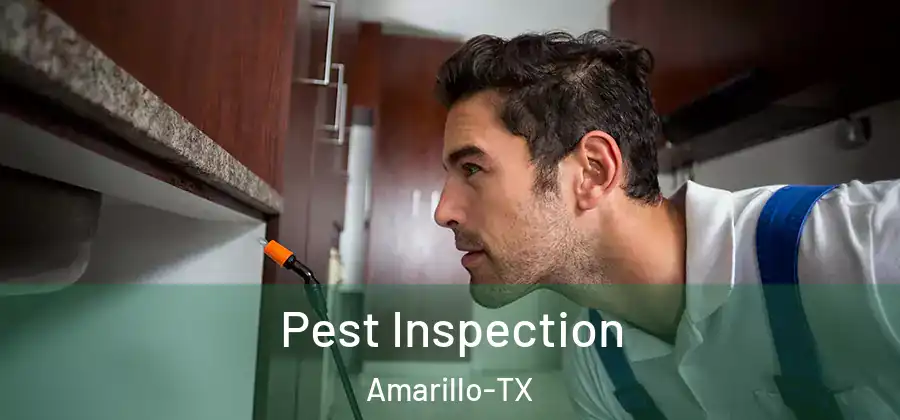  Pest Inspection Amarillo-TX