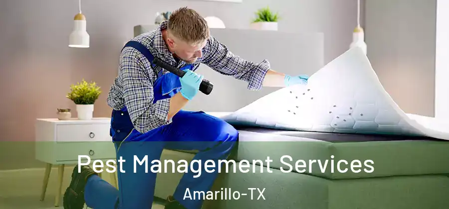  Pest Management Services Amarillo-TX