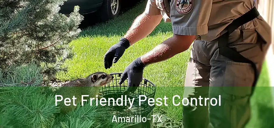  Pet Friendly Pest Control Amarillo-TX