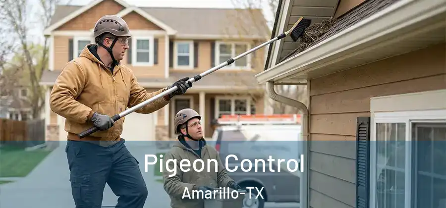  Pigeon Control Amarillo-TX
