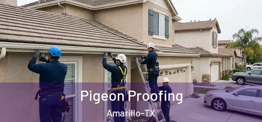  Pigeon Proofing Amarillo-TX