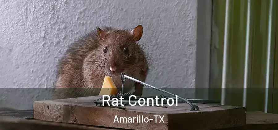  Rat Control Amarillo-TX