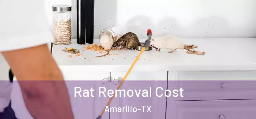  Rat Removal Cost Amarillo-TX