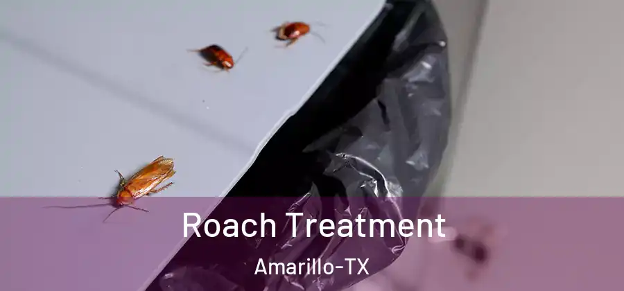  Roach Treatment Amarillo-TX