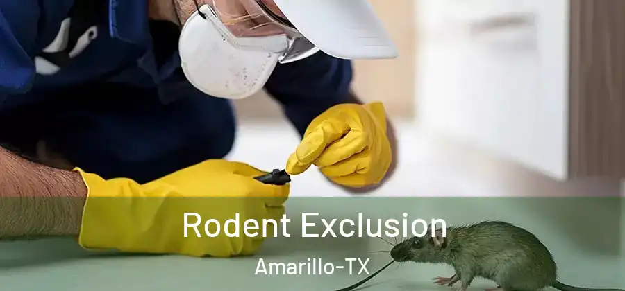  Rodent Exclusion Amarillo-TX