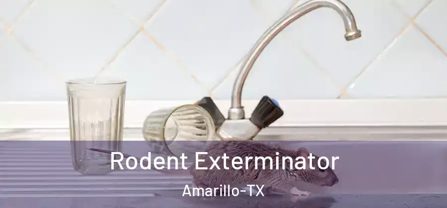  Rodent Exterminator Amarillo-TX