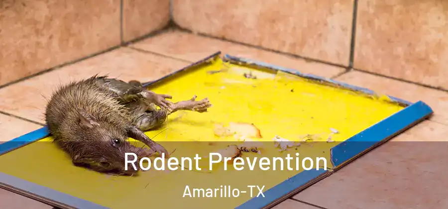  Rodent Prevention Amarillo-TX