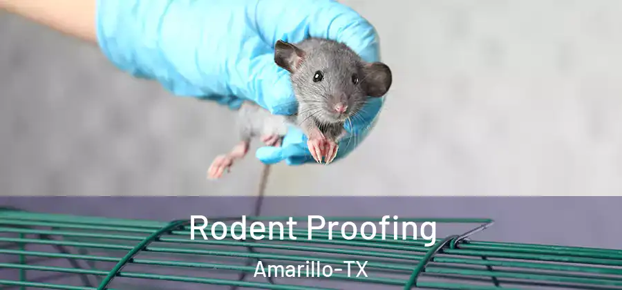 Rodent Proofing Amarillo-TX