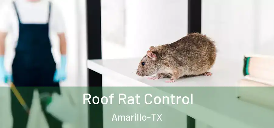  Roof Rat Control Amarillo-TX