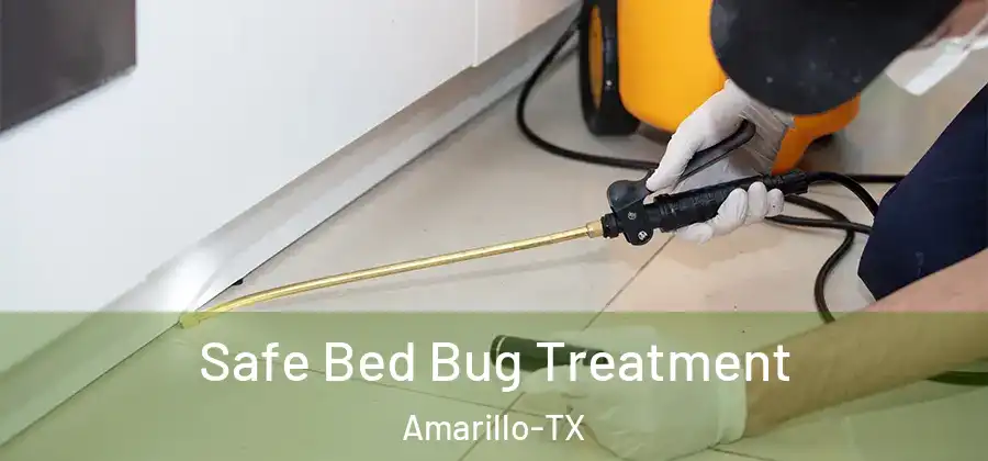  Safe Bed Bug Treatment Amarillo-TX
