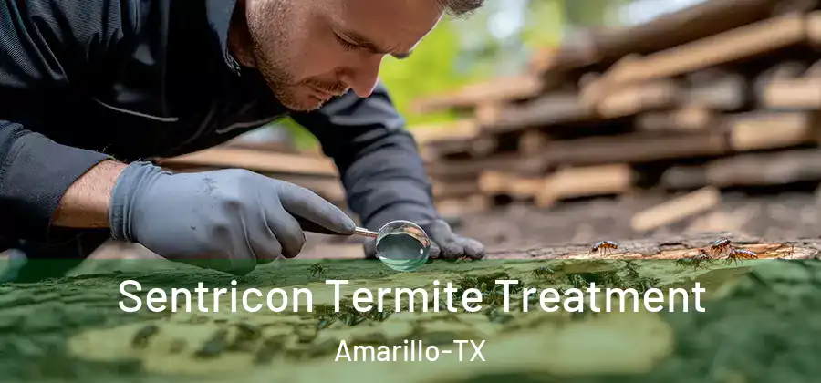  Sentricon Termite Treatment Amarillo-TX
