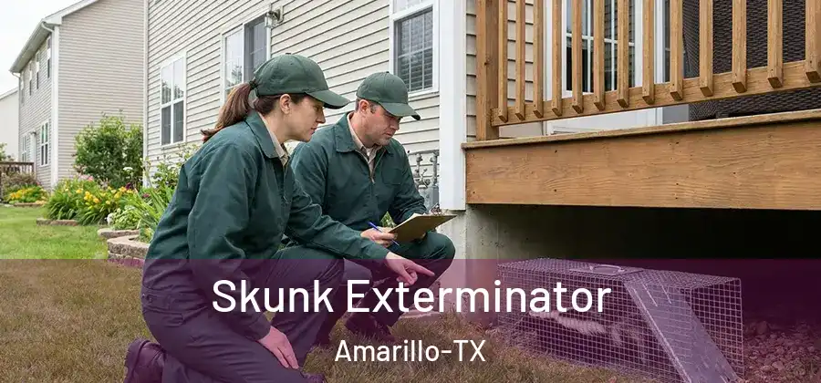  Skunk Exterminator Amarillo-TX