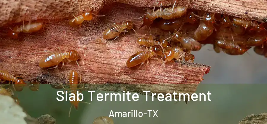  Slab Termite Treatment Amarillo-TX