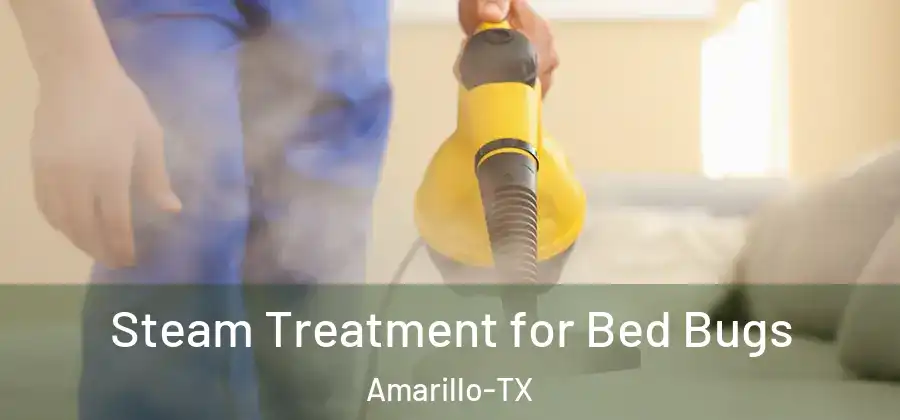  Steam Treatment for Bed Bugs Amarillo-TX