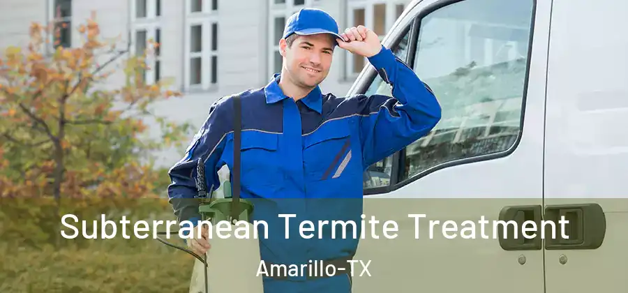  Subterranean Termite Treatment Amarillo-TX
