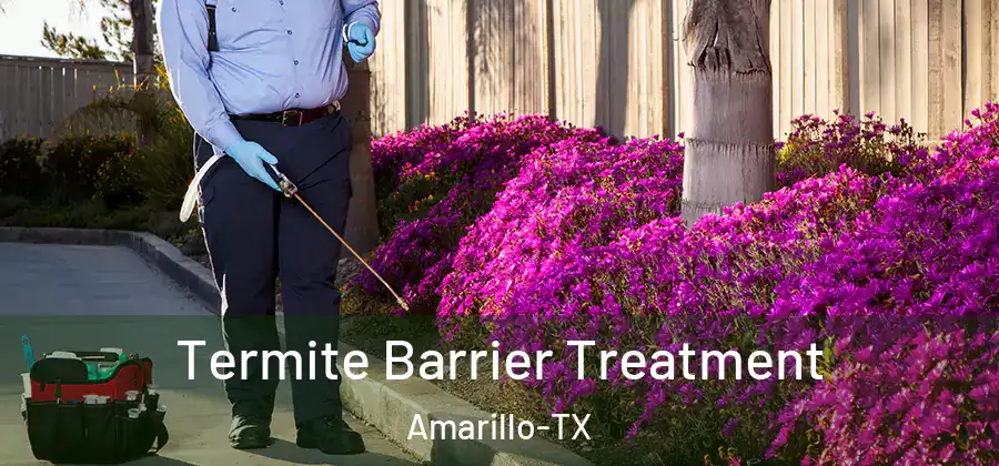  Termite Barrier Treatment Amarillo-TX
