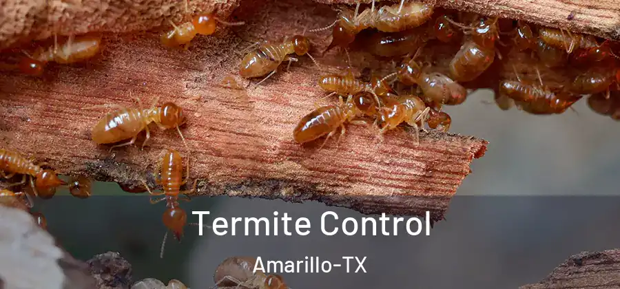  Termite Control Amarillo-TX