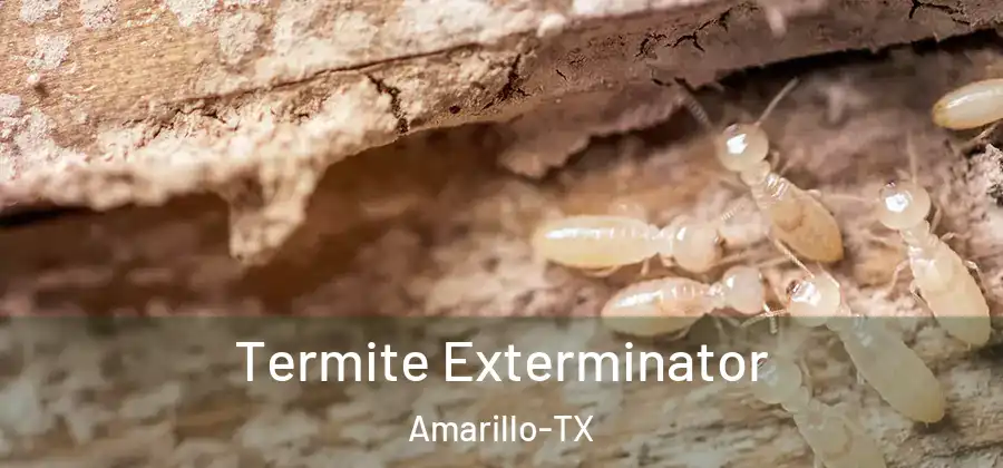  Termite Exterminator Amarillo-TX