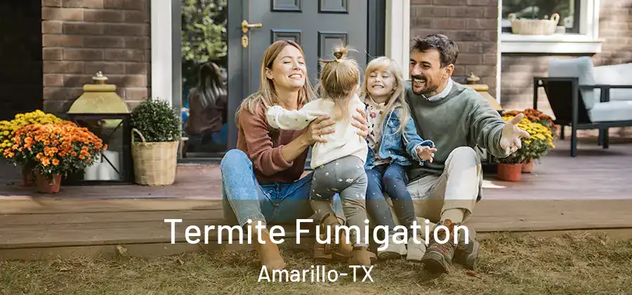  Termite Fumigation Amarillo-TX