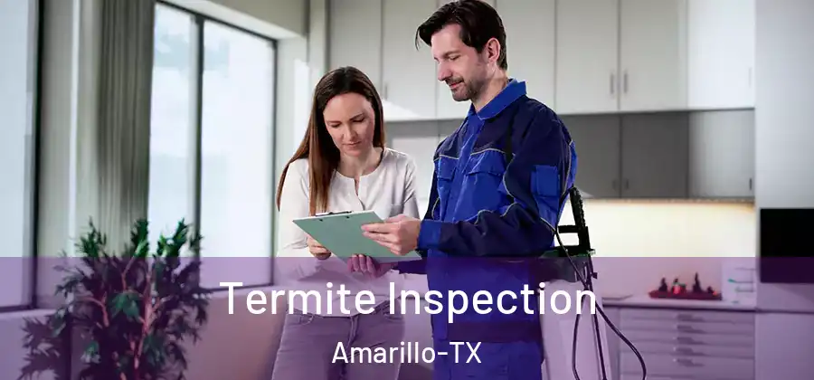  Termite Inspection Amarillo-TX