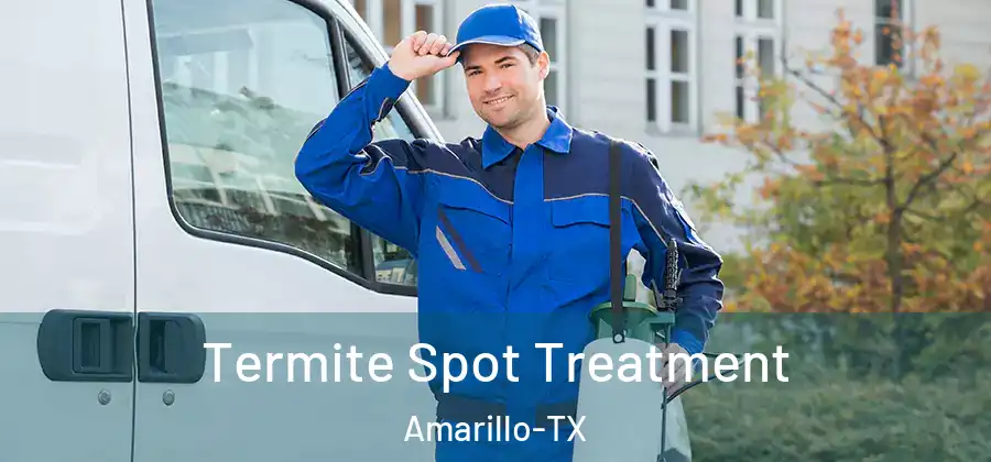  Termite Spot Treatment Amarillo-TX