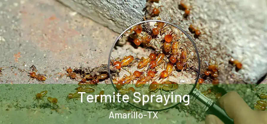  Termite Spraying Amarillo-TX