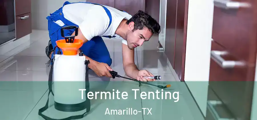  Termite Tenting Amarillo-TX