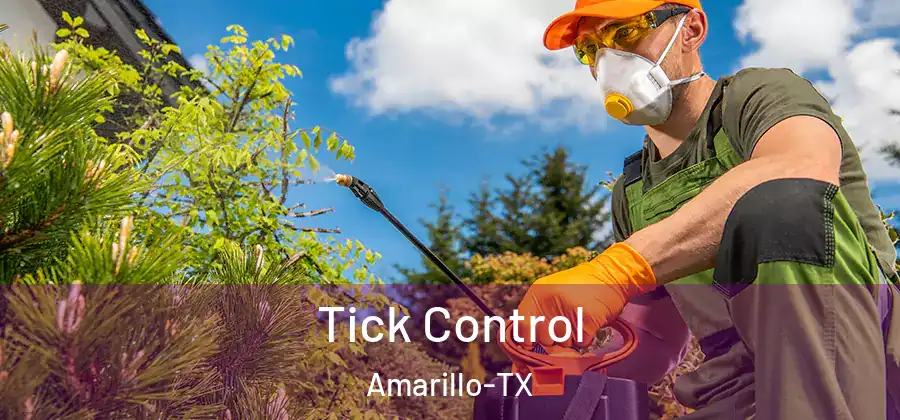  Tick Control Amarillo-TX