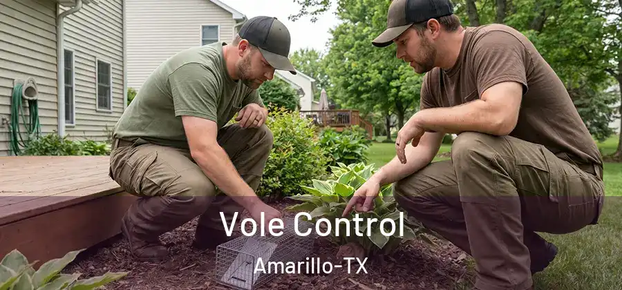  Vole Control Amarillo-TX