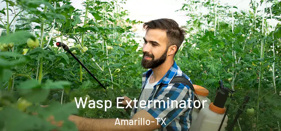  Wasp Exterminator Amarillo-TX