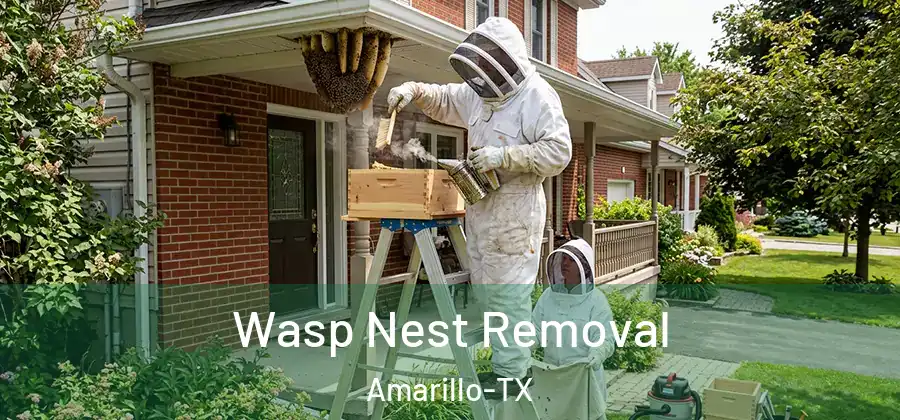  Wasp Nest Removal Amarillo-TX