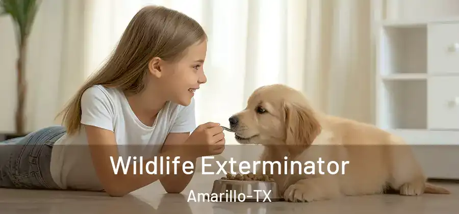  Wildlife Exterminator Amarillo-TX