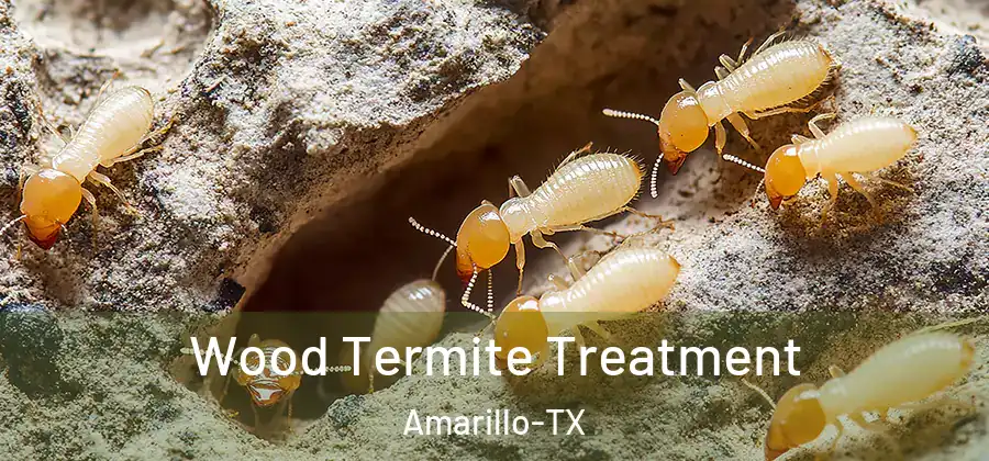  Wood Termite Treatment Amarillo-TX