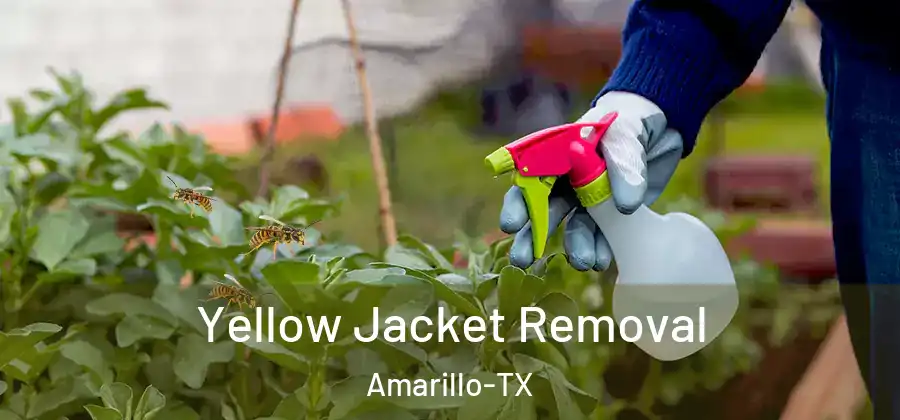 Yellow Jacket Removal Amarillo-TX